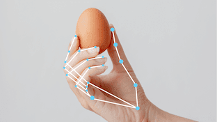 Hand Landmark Detection