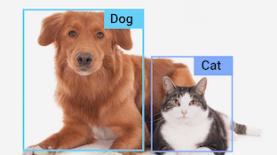 Object Detection